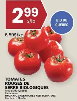 Rachelle-Bery Grocery ORGANIC GREENHOUSE RED TOMATOES offer