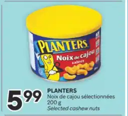 Brunet PLANTERS Noix de cajou sélectionnées offer