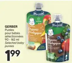 Brunet GERBER Purées pour bébés sélectionnées offer