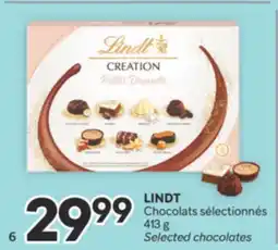 Brunet LINDT Chocolats sélectionnés offer