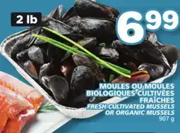 Marches Tradition FRESH CULTIVATED MUSSELS OR ORGANIC MUSSELS offer