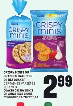 Provigo CRISPY MINIS OU GRANDES GALETTES DE RIZ QUAKER, 90-173 G offer