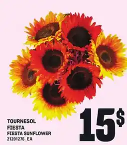 Provigo TOURNESOL FIESTA offer