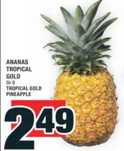 Super C ANANAS TROPICAL GOLD | TROPICAL GOLD PINEAPPLE offer