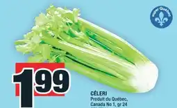 Super C CÉLERI | CELERY offer