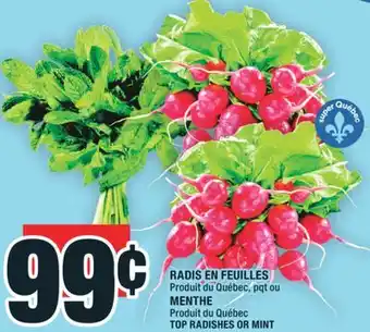Super C RADIS EN FEUILLES | TOP RADISHES offer
