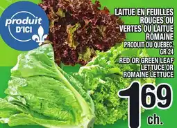 Marche Ami LAITUE EN FEUILLES ROUGES OU VERTES OU LAITUE ROMAINE | RED OR GREEN LEAF LETTUCE OR ROMAINE LETTUCE offer