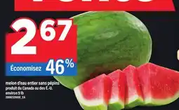 Maxi MELON D'EAU ENTIER SANS PÉPINS, 9 lb offer