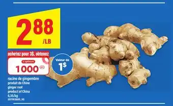 Maxi ginger root offer