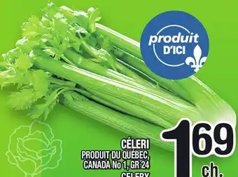 Marche Ami CÉLERI | CELERY offer
