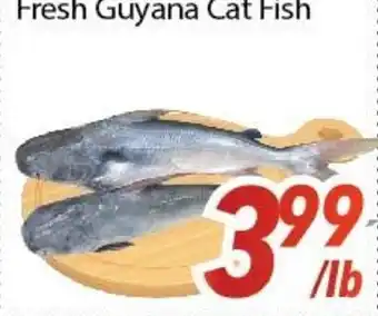 Bestco Food Mart Fresh Guyana Cat Fish offer