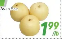 Bestco Food Mart Asian Pear offer