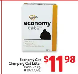 Walmart Economy Cat Clumping Cat Litter offer