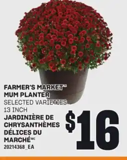 Independent Grocer FARMER'S MARKET MUM PLANTER, 13 INCH offer