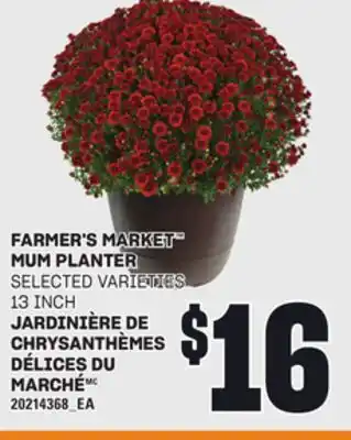 Independent Grocer FARMER'S MARKET MUM PLANTER, 13 INCH offer