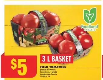 No Frills FIELD TOMATOES, 3 L BASKET offer