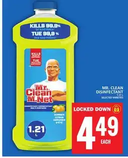 Food Basics MR. CLEAN DISINFECTANT offer