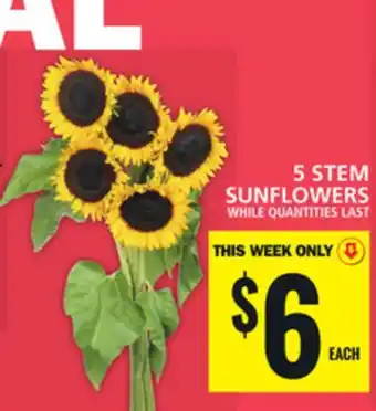 Food Basics 5 STEM SUNFLOWERS offer