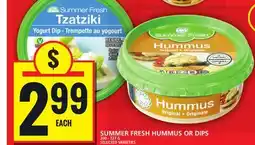 Food Basics SUMMER FRESH HUMMUS OR DIPS offer