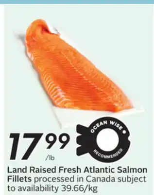 Sobeys Land Raised Fresh Atlantic Salmon Fillets offer