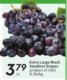 Sobeys Extra Large Black Seedless Grapes offer
