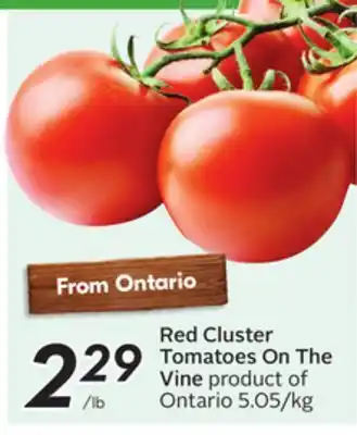 Sobeys Red Cluster Tomatoes On The Vine offer