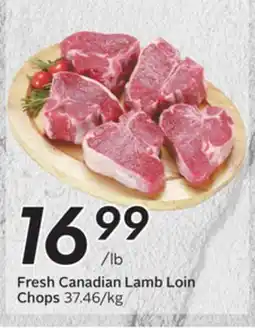 Sobeys Fresh Canadian Lamb Loin Chops offer