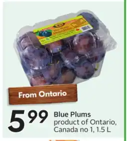 Sobeys Blue Plums offer
