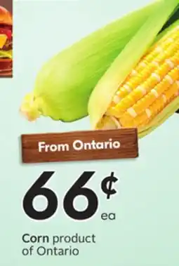 Sobeys Corn offer