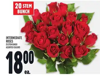 Metro INTERMEDIATE ROSES offer