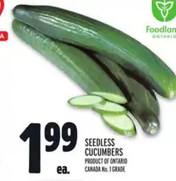 Metro SEEDLESS CUCUMBERS offer