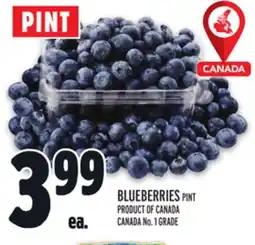 Metro BLUEBERRIES offer