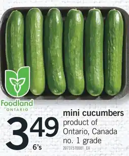 Fortinos MINI CUCUMBERS, 6's offer