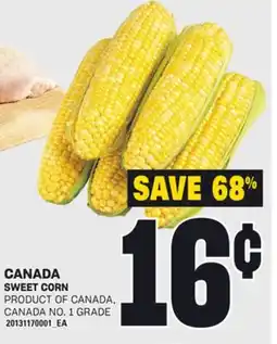Loblaws SWEET CORN offer
