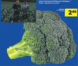 Real Canadian Superstore BROCCOLI offer