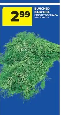 Real Canadian Superstore BUNCHED BABY DILL offer