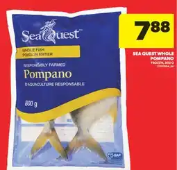 Real Canadian Superstore SEA QUEST WHOLE POMPANO, 800 G offer