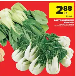 Real Canadian Superstore BABY OR SHANGHAI BOK CHOY offer