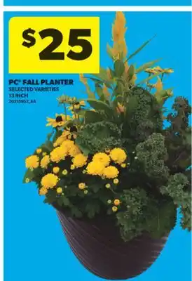 Real Canadian Superstore PC FALL PLANTER offer