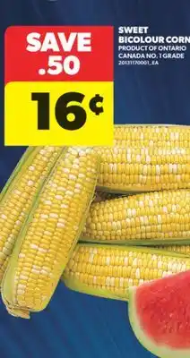Real Canadian Superstore SWEET BICOLOUR CORN offer