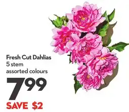 Longo's Fresh Cut Dahlias offer