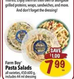 Farm Boy Farm Boy Pasta Salads offer
