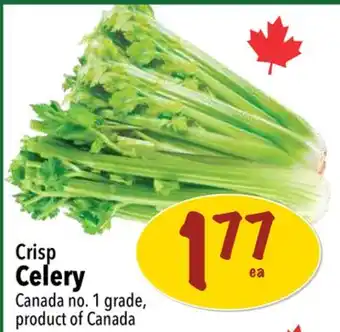 Farm Boy Crisp Celery offer
