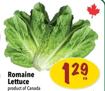 Farm Boy Romaine Lettuce offer
