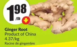 FreshCo Ginger Root Product Of China 4.37/kg offer