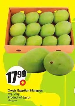 FreshCo Oweis Egyptain Mangoes 2 kg Product of Egypt offer
