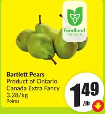 FreshCo Bartlett Pears offer