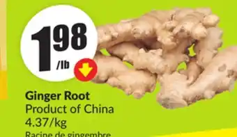 Chalo FreshCo Ginger Root Product of China 4.37/kg offer