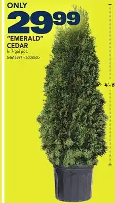 RONA EMERALD CEDAR offer