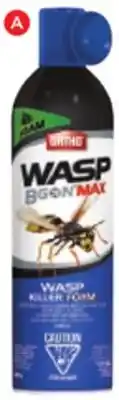RONA WASP AND HORNET INSECTICIDES FOAM, 400-G offer